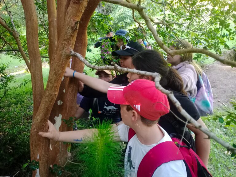 Día 1: Deutsche Schule Los Ángeles 4°Básico