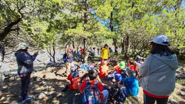 Experiencias de aprendizaje Día 3 • Saint Johns School Cuartos Básicos
