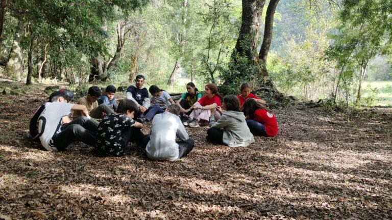 Experiencias de aprendizaje Día 4: Bradford School – 6º Básico.