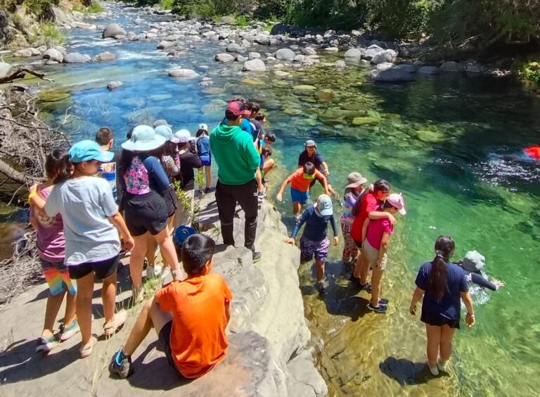 Día 2: Colegio Almondale Lomas – 5to A