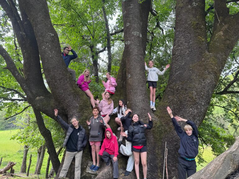 Día 2: Nido de Águilas 7mo