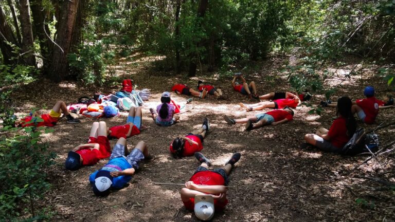 Experiencias de Aprendizaje día 2: