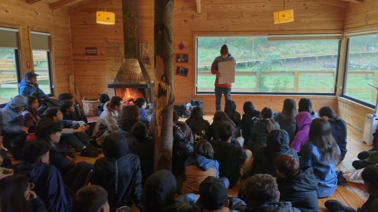 Experiencia de Aprendizaje Colegio Inglés Católico 8vo
