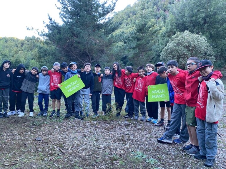 Experiencias de Aprendizaje: Deutsche Schule Concepción 6tos básicos