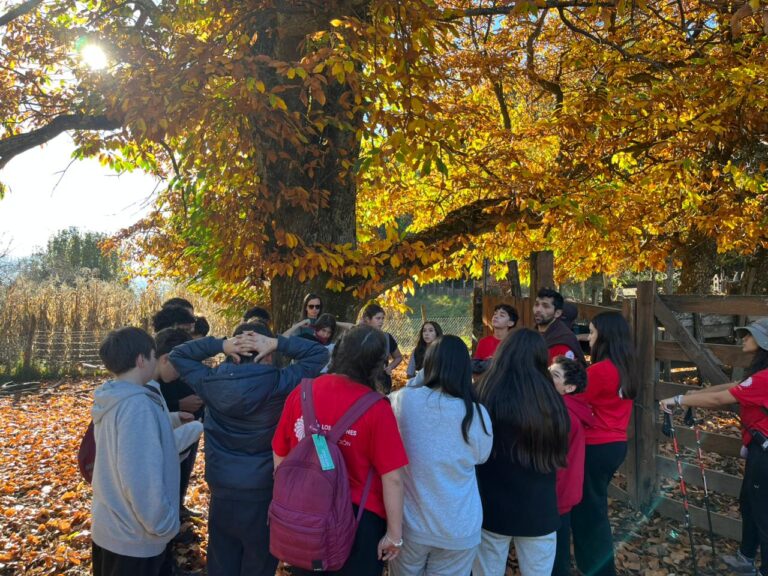 Experiencias de aprendizaje al aire libre- British Royal School