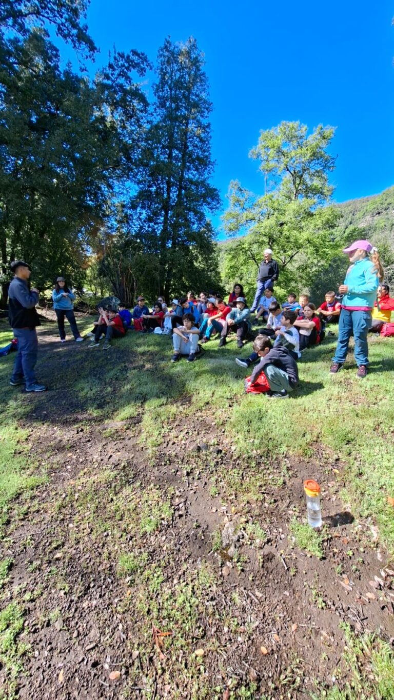 Experiencias De Aprendizaje Al Aire Libre: Saint John’s School | 4° Básicos A – B