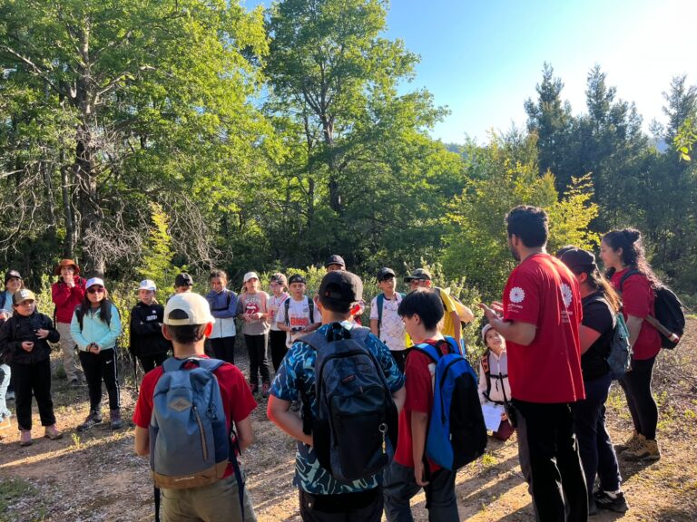 Experiencias de aprendizaje al aire libre Saint Johns School 4ºC y 4ºD
