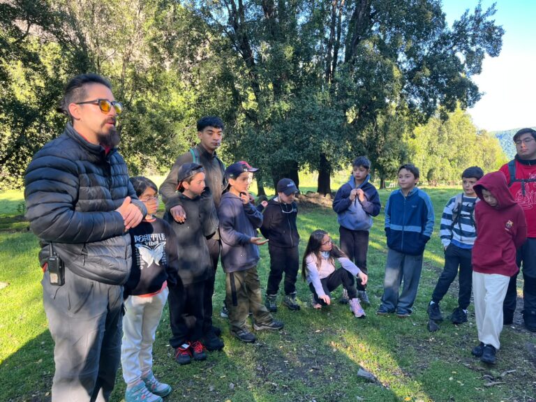 Experiencias de aprendizaje al aire libre Saint Johns School 4ºC y 4ºD