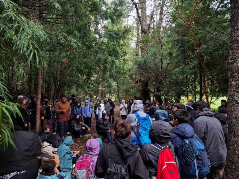Experiencias de aprendizaje al aire libre: Bradford School | 6° Básico