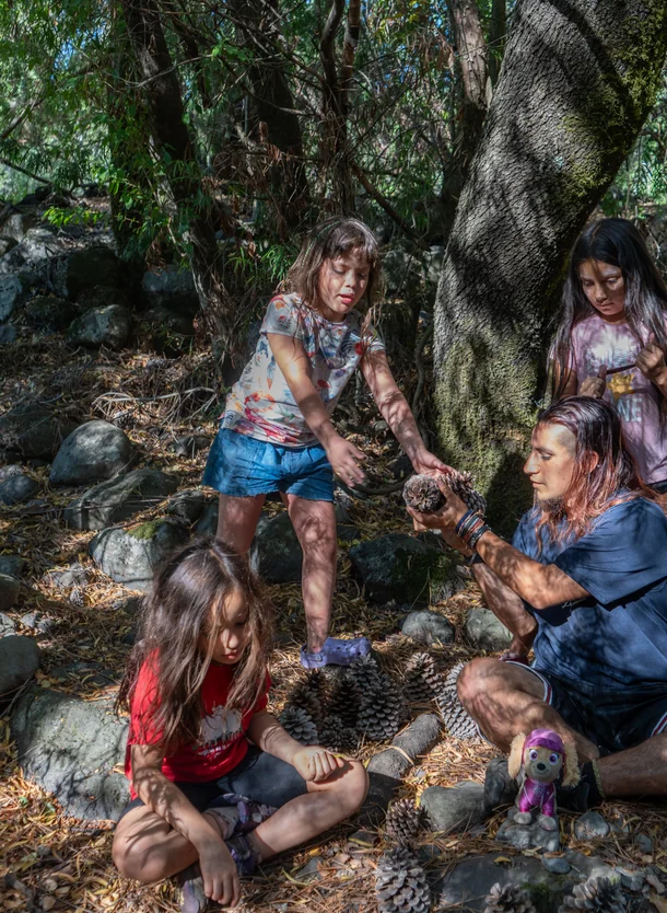 Exploración del bosque