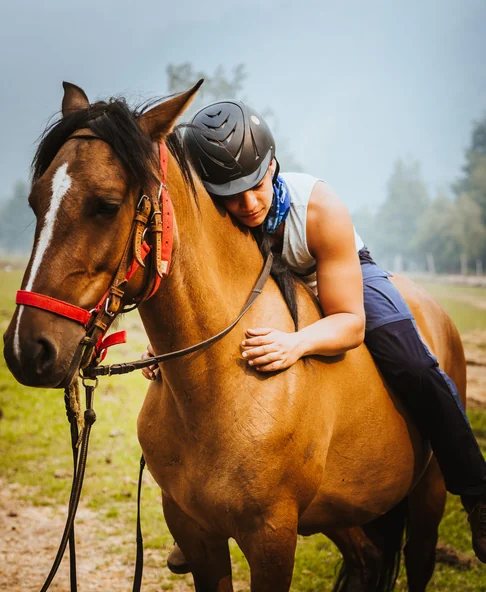 Cuidado y vínculo con los caballos